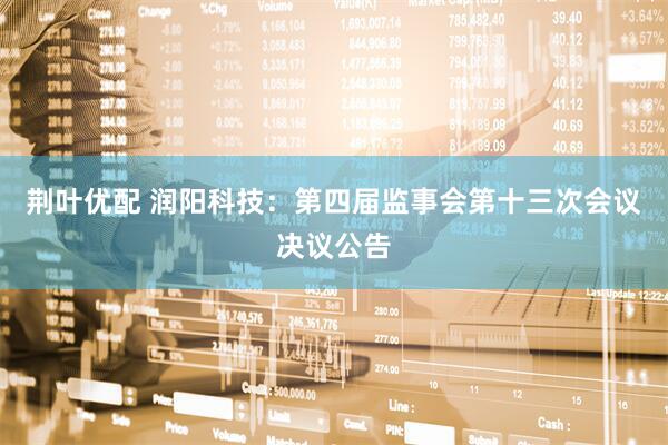 荆叶优配 润阳科技：第四届监事会第十三次会议决议公告