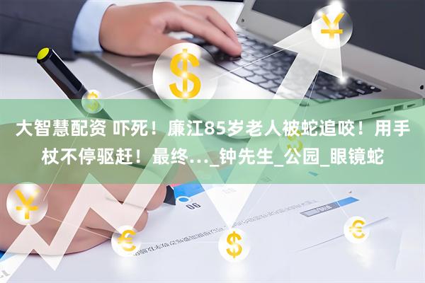 大智慧配资 吓死！廉江85岁老人被蛇追咬！用手杖不停驱赶！最终…_钟先生_公园_眼镜蛇