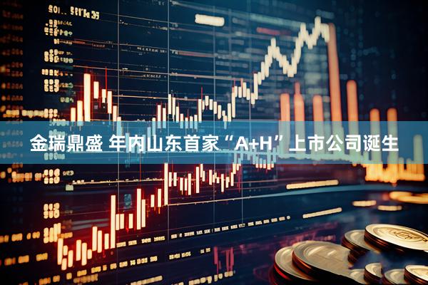金瑞鼎盛 年内山东首家“A+H”上市公司诞生