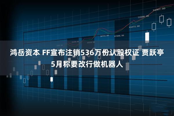 鸿岳资本 FF宣布注销536万份认股权证 贾跃亭5月称要改行做机器人